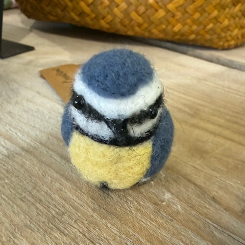 Blue Tit