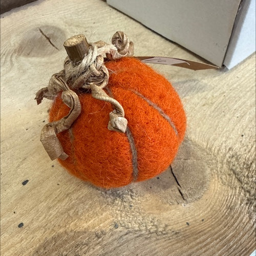 Pumpkins Medium