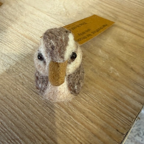 Duck