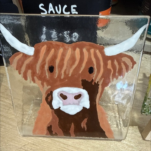 Highland Cow